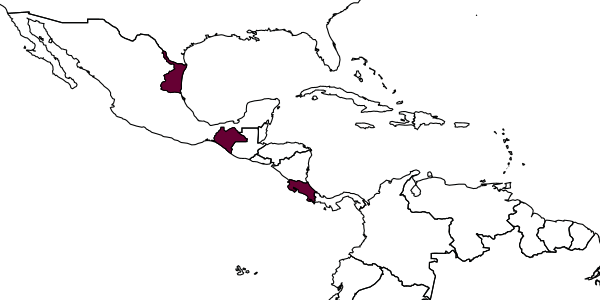 map of Perditorulus hastatus     Hansson, 1996